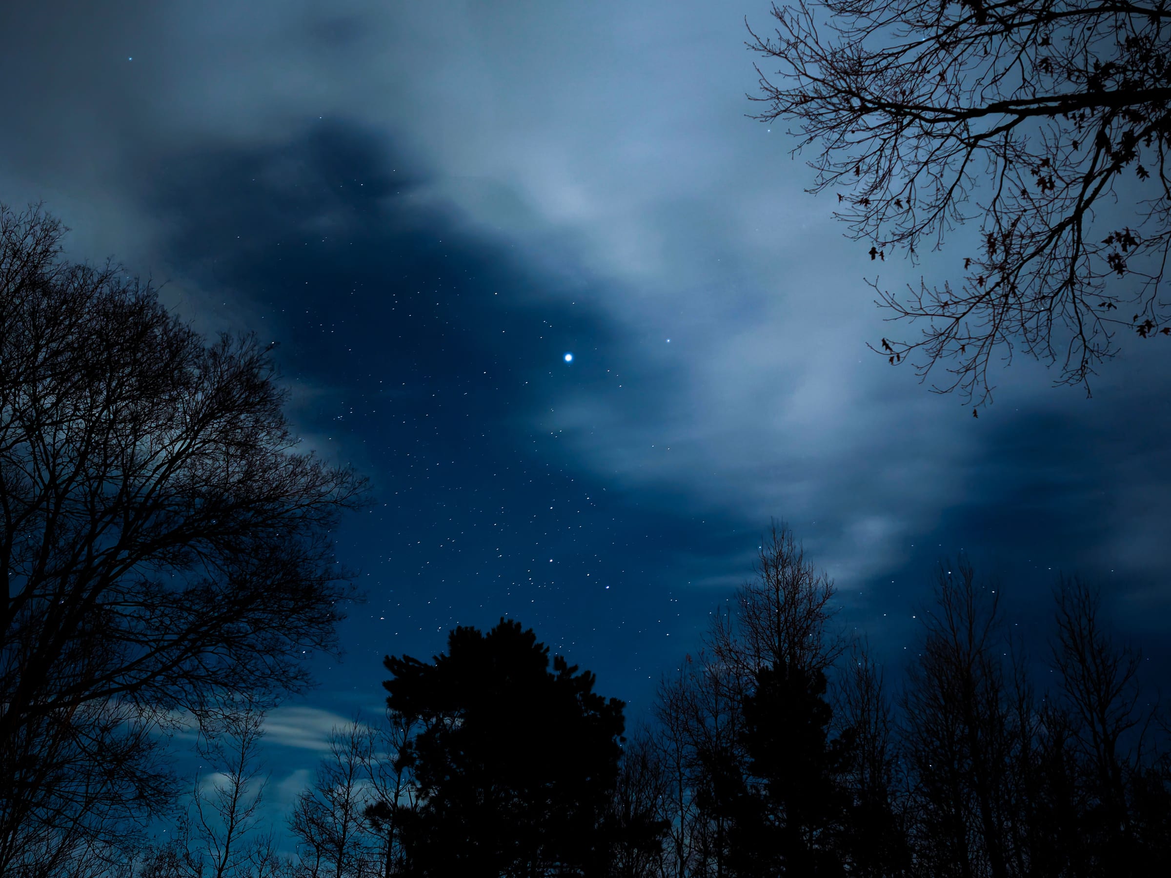 A night sky with cloud and bare branches