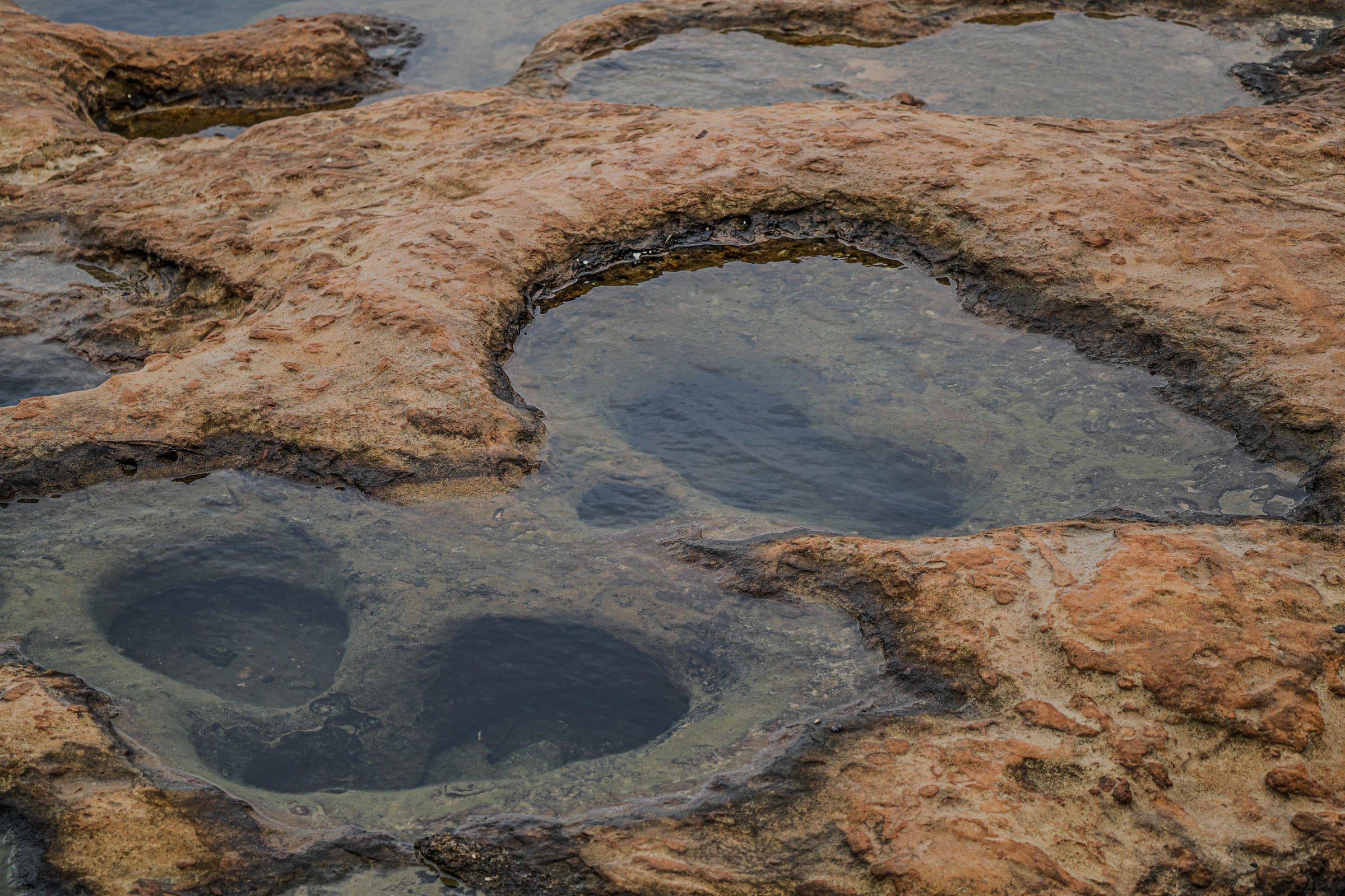 Rock pools in weathered sandstone, from above