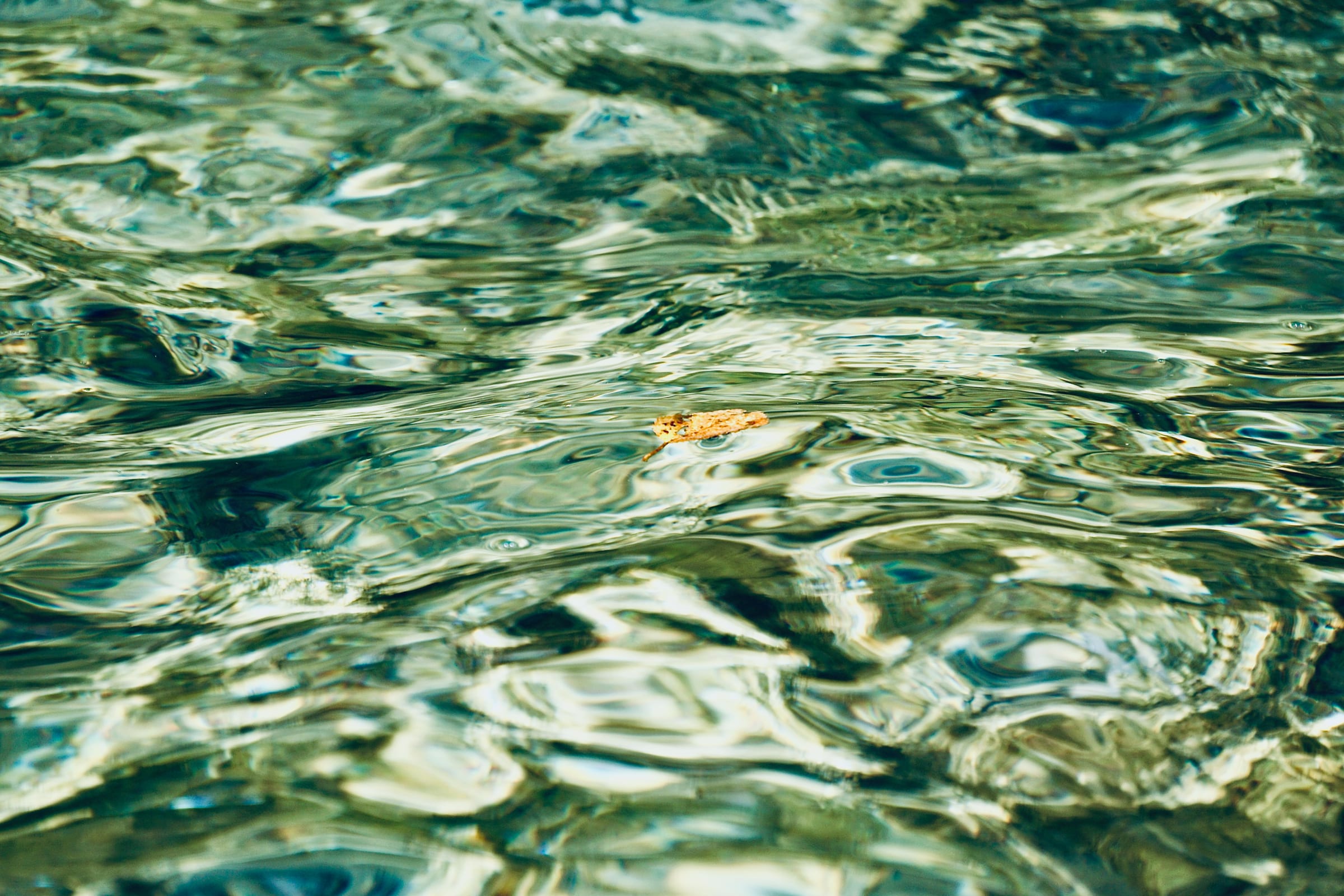 Green water rippling in sunlight