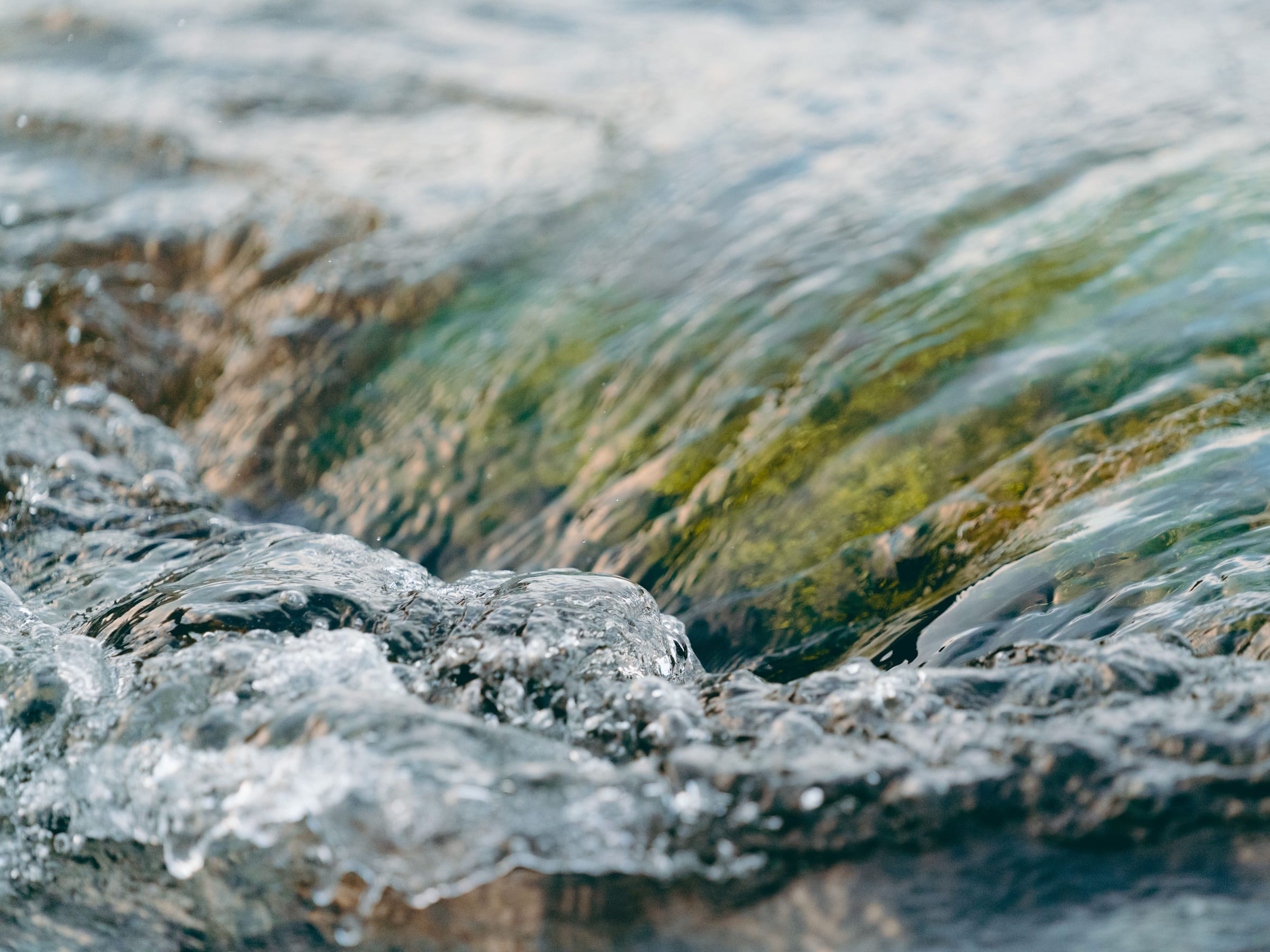 A stream rushing over green weed